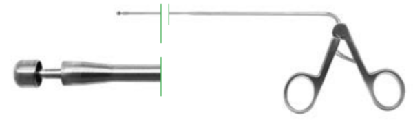 Roundhead Punches
